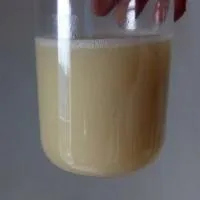 Пенокссулам 25Г/Л ОД ГЕРБИЦИД